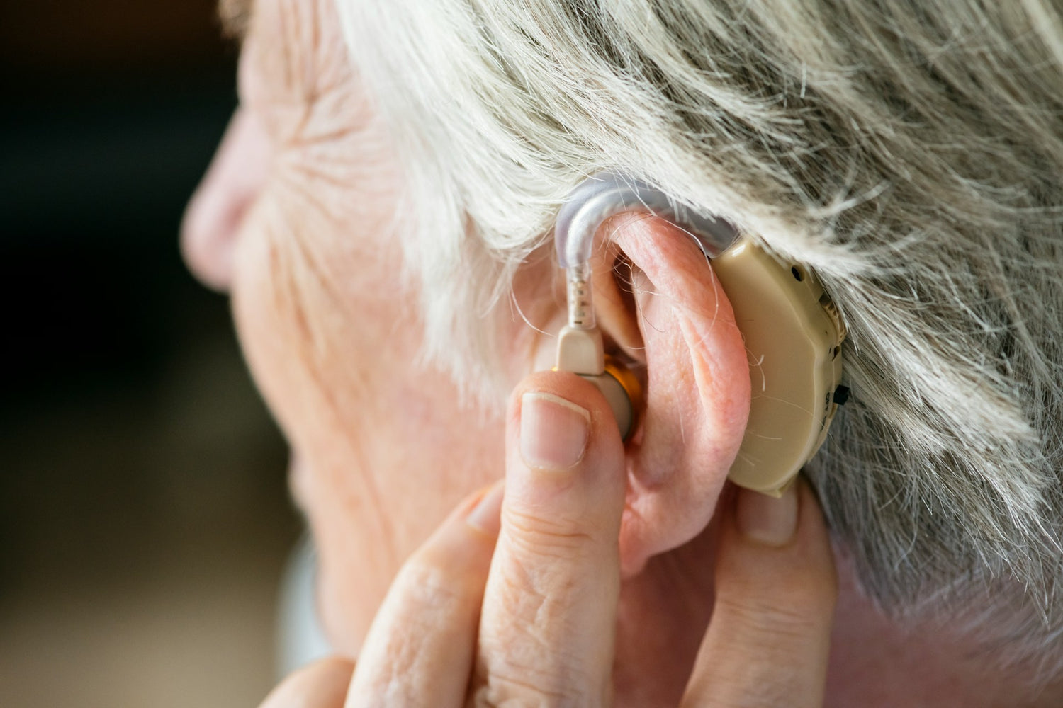 Hearing Aid