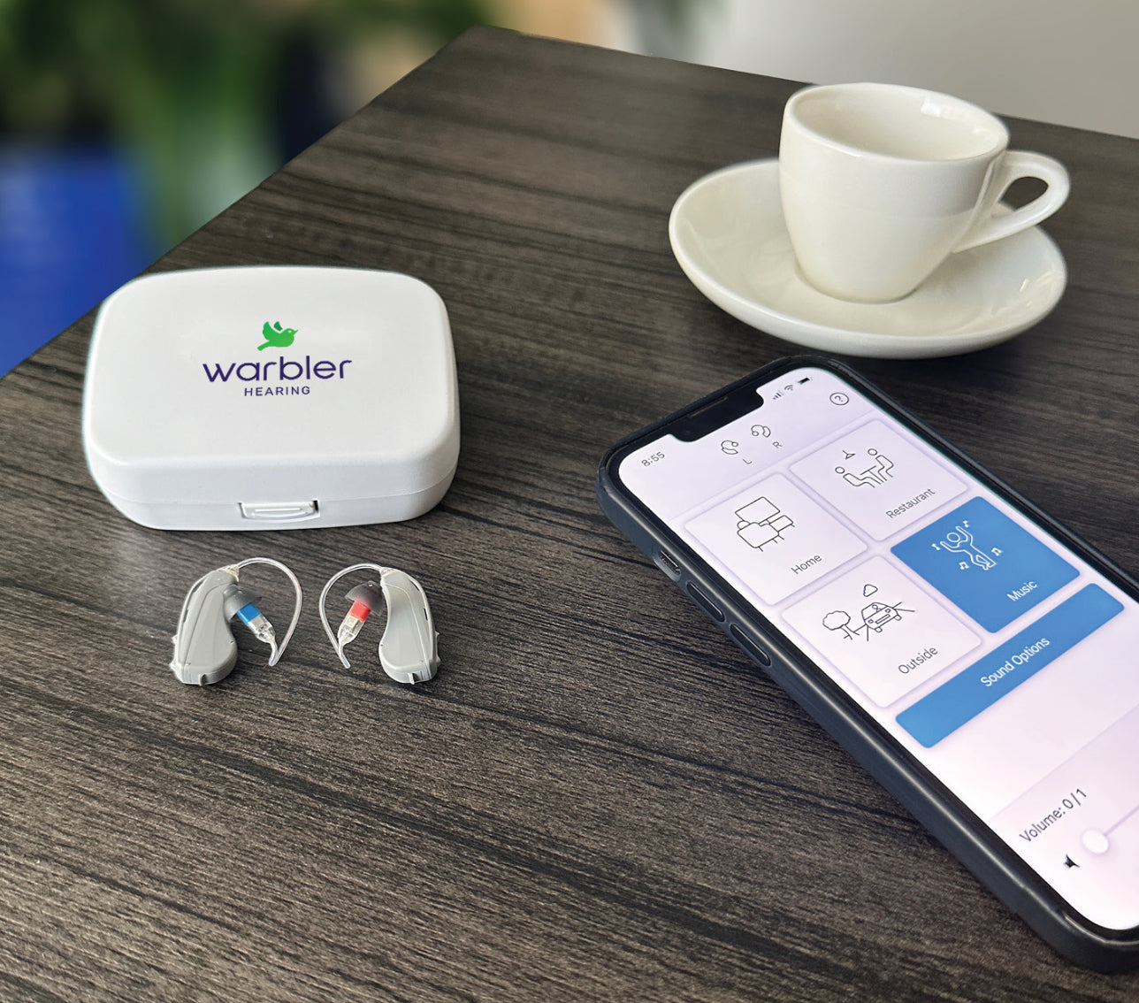 Hearing Amplifier vs Hearing Aid